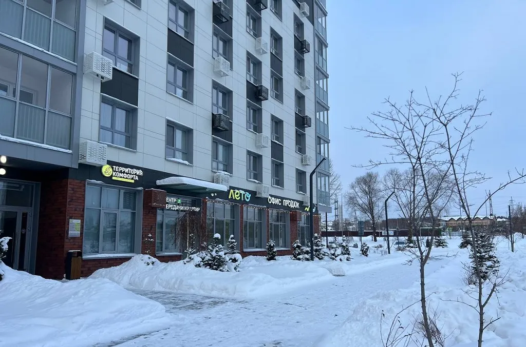 Дневник покупателя: решение принято! но какое?