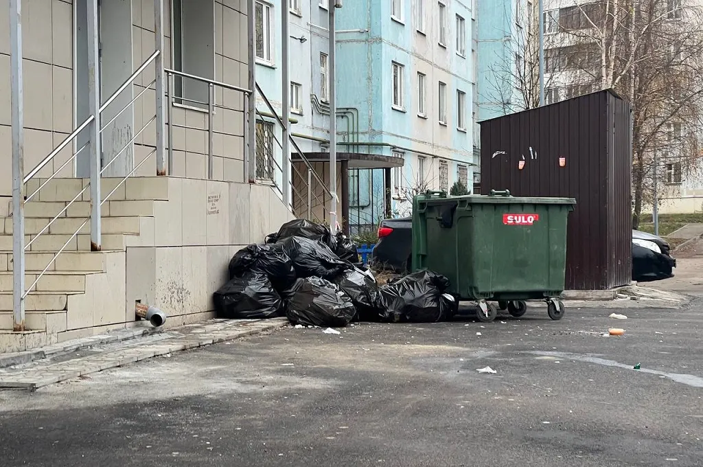 "Грязные" вопросы: куда выбрасывать мусор, кто должен его вывозить и сколько за это платить