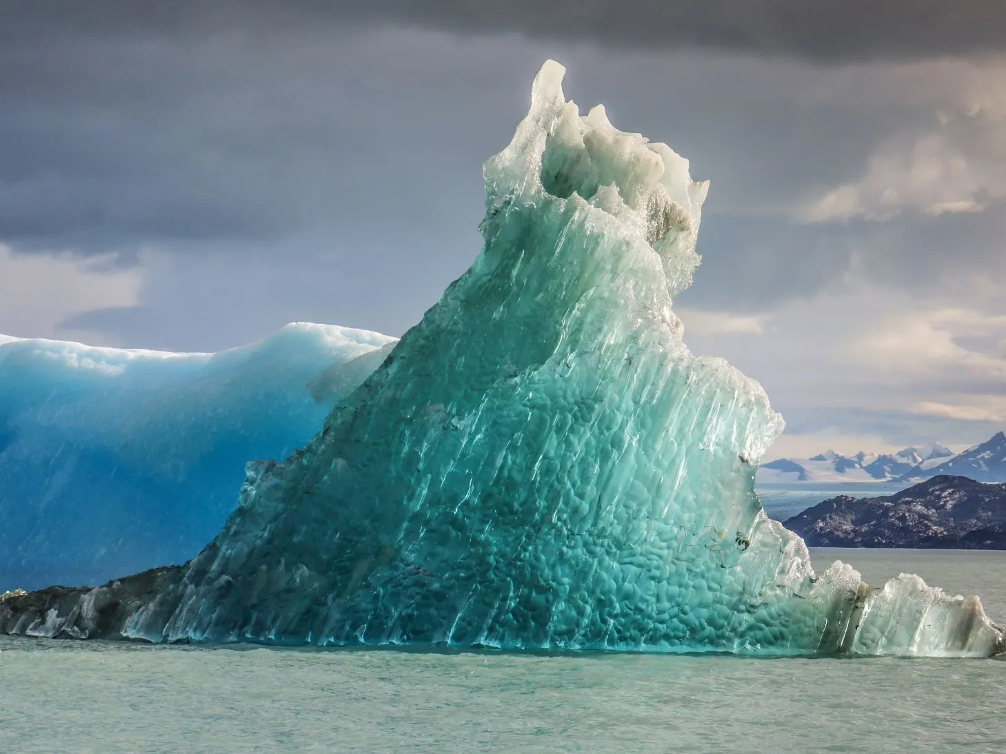 Фото: pexels.com