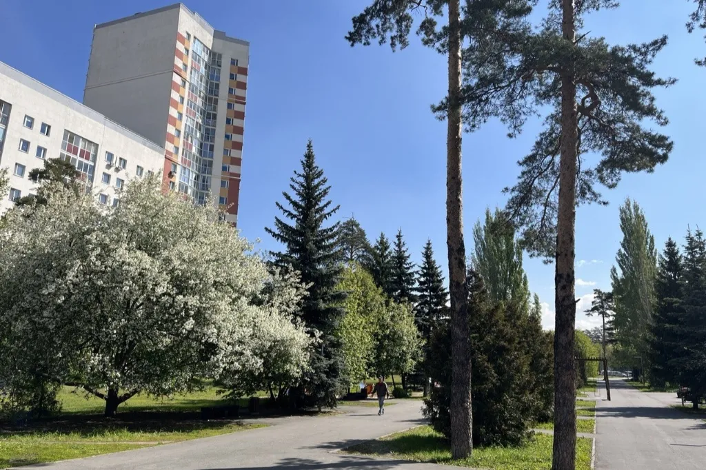 Казань встает на «зеленые рельсы»: в городе утвердили Стратегию устойчивого развития