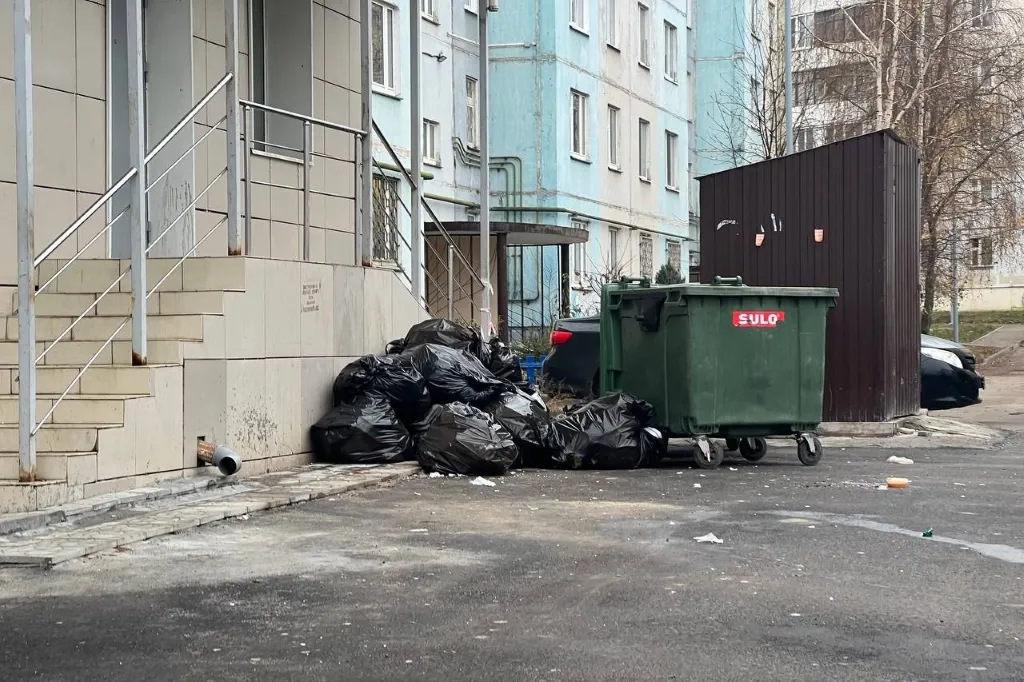 Мэрия Казани рассказала о новых штрафах за складирование мусора