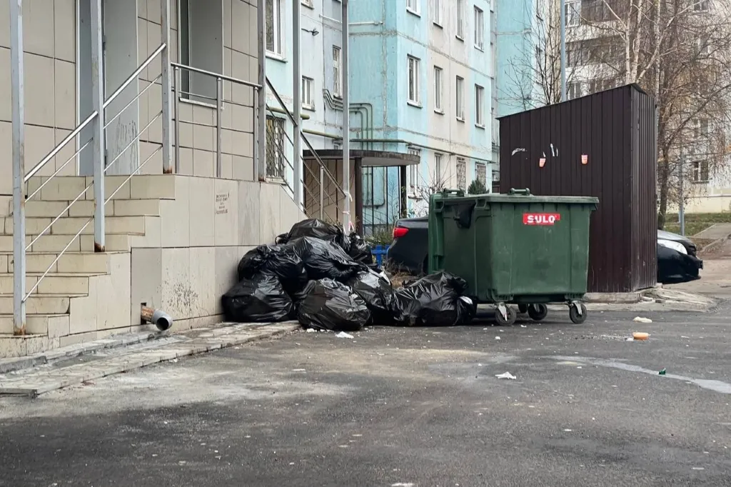 На ликвидацию свалок в Казани потратят 52 млн рублей