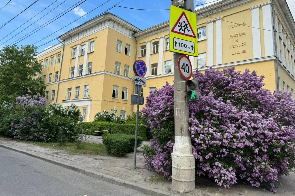 Мы попали на период цветения сирени и каштанов, а их на нашем маршруте было очень много. Фото предоставлено автором статьи