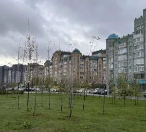 Когда лучше покупать квартиру