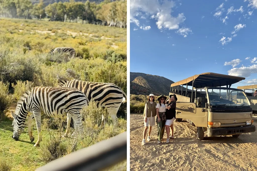 На сафари в заповеднике Aquila Private Game Reserve. Фото предоставлены героиней статьи