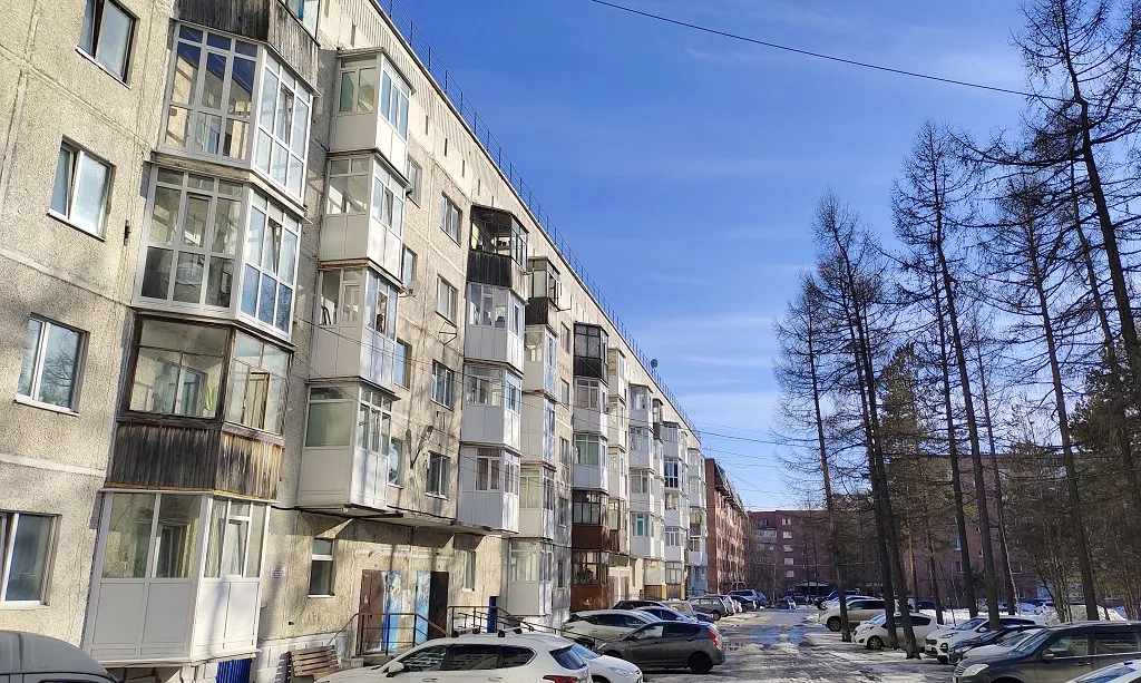 Все дома в Ноябрьске выглядят примерно одинаково (похожи на хрущевки) и построены 20-40 лет назад.