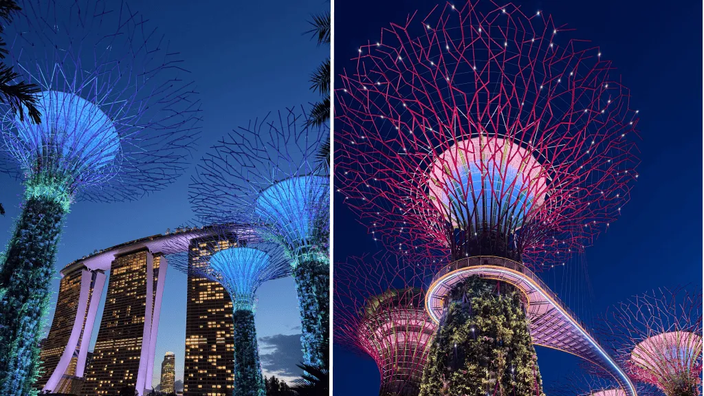 Футуристический Сад у залива (Gardens by the Bay) в Сингапуре. Фото предоставлены героиней статьи