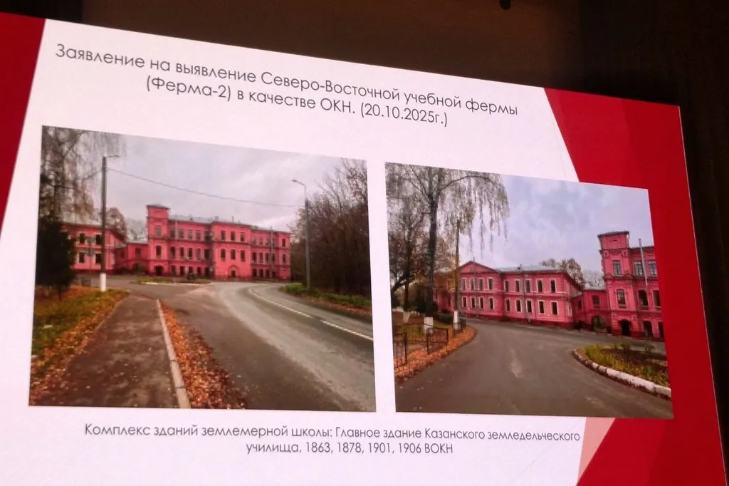 Фото предоставлено автором статьи