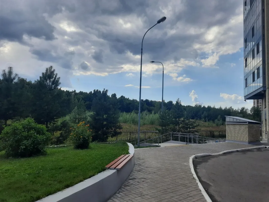 Рядом с комплексом находится лес на Дубравной. Фото: Урбан Медиа