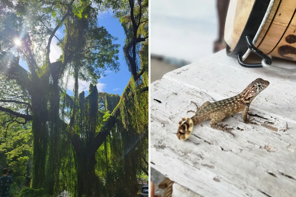 10-дневное путешествие вместе с дорогой до Москвы, откуда есть авиарейсы на Кубу, обошлось в 300 тыс. рублей. Фото предоставлены героиней статьи