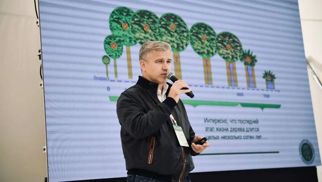 Сергей Пальчиков обозначил проблему: в Казани деревья должным образом не обрезаются. Фото: Институт развития города Казани