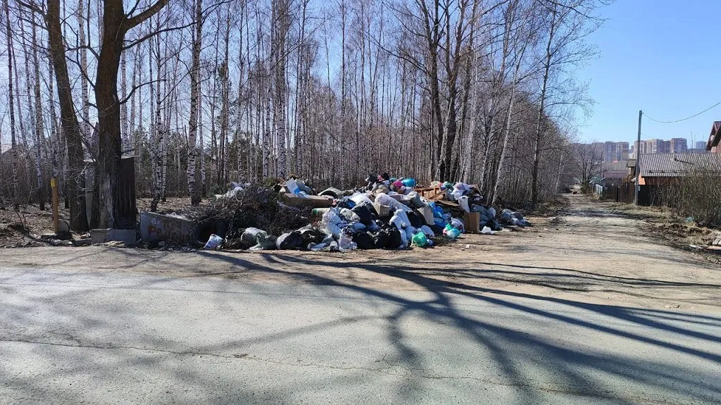 Свободных контейнеров на весь мусор не хватает и в поселке Вознесенское.