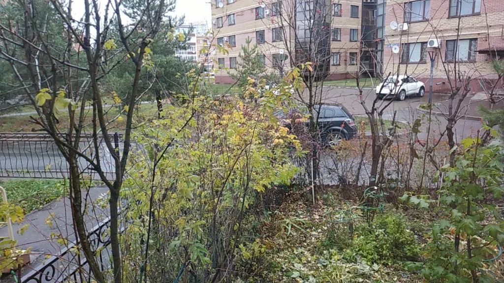 Главное преимущество Лесного городка — много зелени и лес рядом.