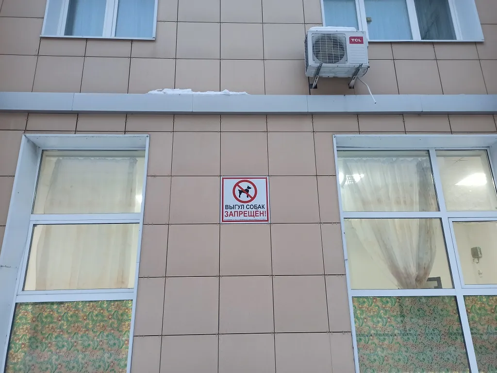 Минус жилого комплекса в том, что там негде гулять с собаками.