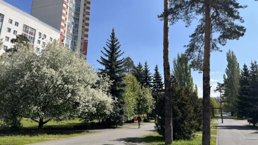 Казань встает на «зеленые рельсы»: в городе утвердили Стратегию устойчивого развития