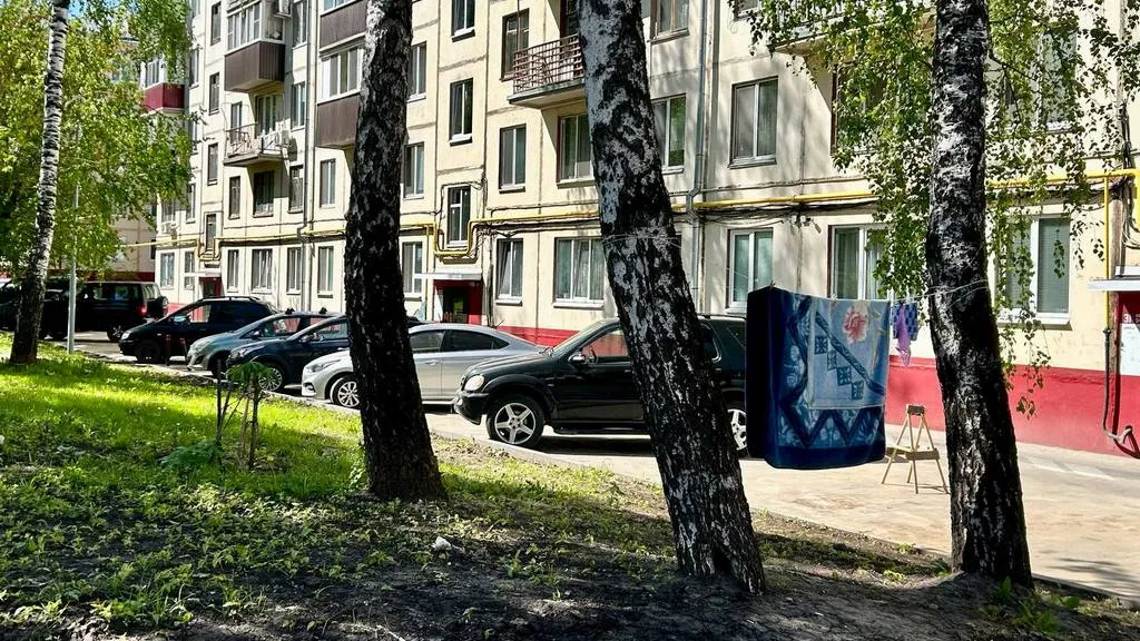 Голосуй — и благоустроят: татарстанцы могут выбрать парки и дворы для обновления в 2026 году
