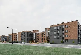 Авиатор