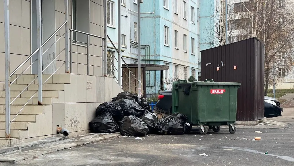 "Грязные" вопросы: куда выбрасывать мусор, кто должен его вывозить и сколько за это платить