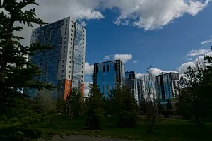 Жительница «Станции Спортивной»: «Мне нравятся лес и вид из окна, но пугают бродячие собаки» Жительница «Станции Спортивной»: «Мне нравятся лес и вид из окна, но пугают бродячие собаки»