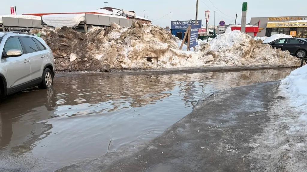 Житель казанского поселка Займище 20 раз пожаловался на подтопление дома