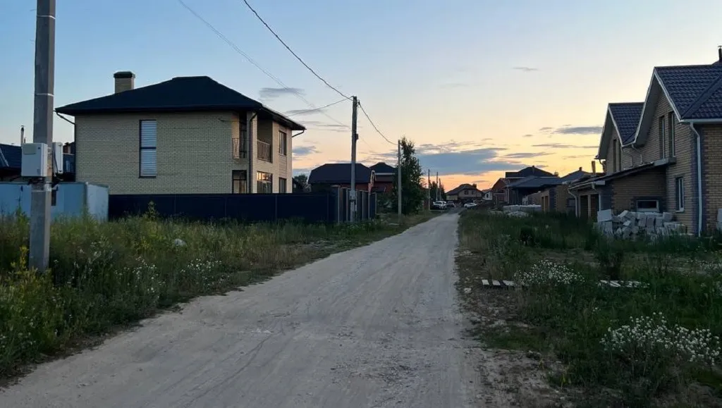 Жители Новой Сосновки обратились к Путину с просьбой сделать в поселке дороги и школу