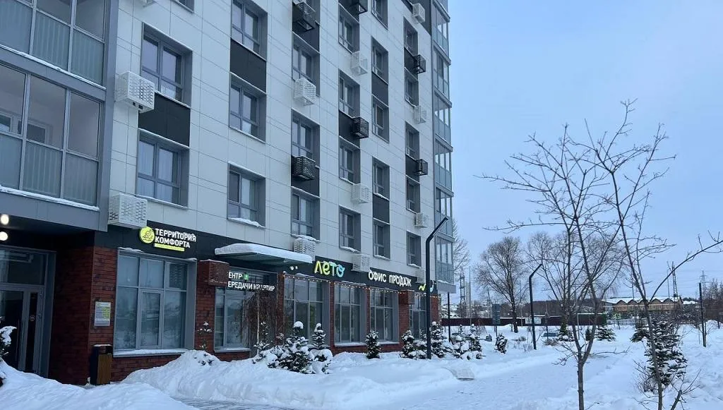 Дневник покупателя: решение принято! но какое?