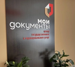 Электронная регистрация недвижимости: плюсы и минусы