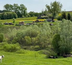 В трех поселках для многодетных семей из Казани построят дороги за 205 млн рублей