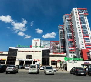 Улицы Паушкина и Пономарева появятся в Казани