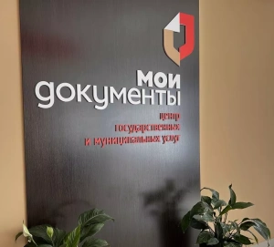 Электронная регистрация недвижимости: плюсы и минусы