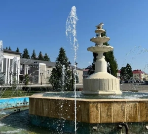 «Мы вынуждены каждый день ездить в город»: стоит ли покупать дом в Пестречинском районе