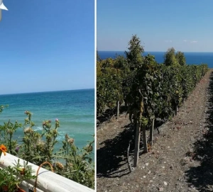 Из Казани на отдых в Болгарию: дорого, долго, но зато теплое море и… опустевшие курорты