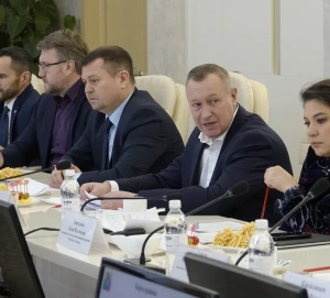 Предприниматель из Марий Эл хочет построить в Алькеевском районе здравницу с этноакцентом