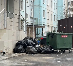 «Грязные» вопросы: куда выбрасывать мусор, кто должен его вывозить и сколько за это платить