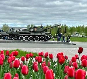 Афиша Казани на май: кинопоказы в парках, «Лапа дружбы» и турнир по шахматам