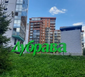 «Экопарк Дубрава»: нет школ, кафе и поликлиник, зато под боком лес