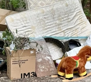 В Казани заморозили строительство мусоросжигающего завода