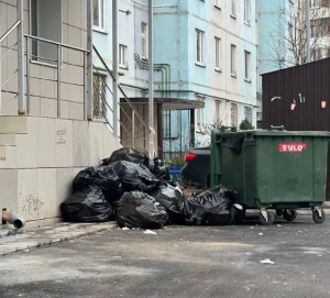 Мэрия Казани рассказала о новых штрафах за складирование мусора