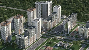 Компас Компас